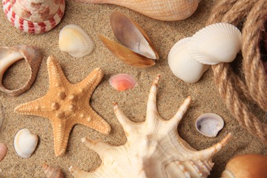 Photo of Beautiful sea star, shells and rope on sand, flat lay