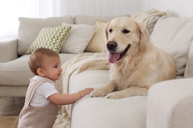 Cute little baby with adorable dog at home