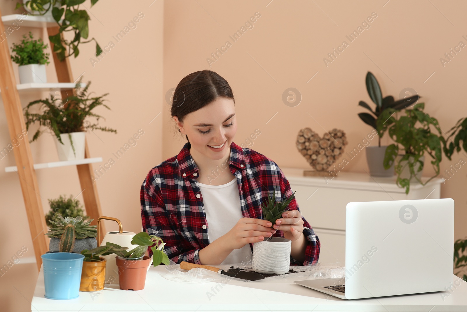 Photo of Woman taking care of plant following online gardening course at home. Time for hobby