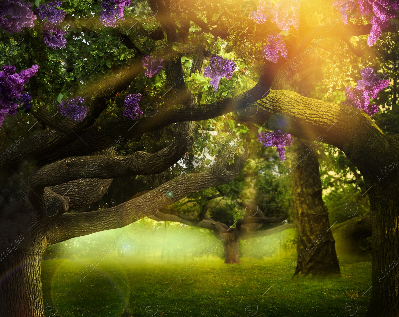 Image of Fantasy world. Trees with blossoming magic flowers in enchanted forest on sunny day