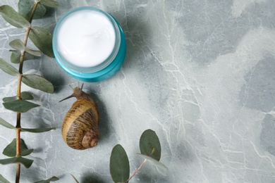 Photo of Snail, cream and eucalyptus branches on light grey marble table, flat lay. Space for text