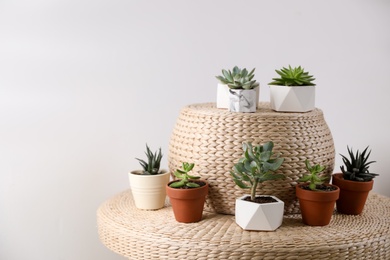 Photo of Beautiful succulents on wicker stand. Interior decoration