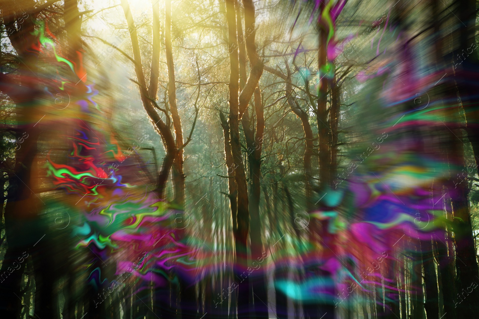 Image of View of forest and flashing lights effect. Migraine aura, symptom of disease