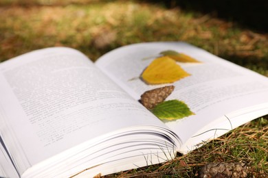 Photo of Open book, cone and leaves on grass outdoors, closeup