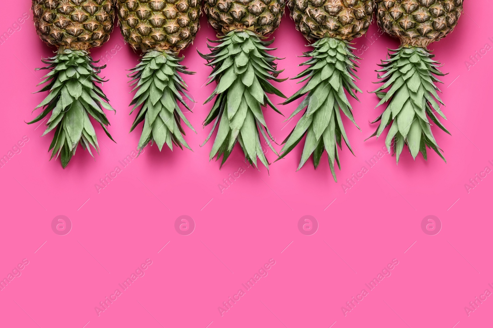 Photo of Whole ripe pineapples on pink background, flat lay. Space for text