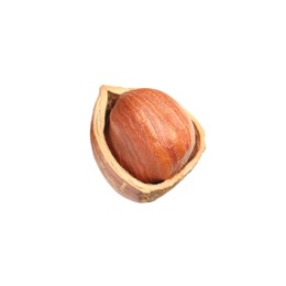Photo of Tasty hazelnut in shell isolated on white
