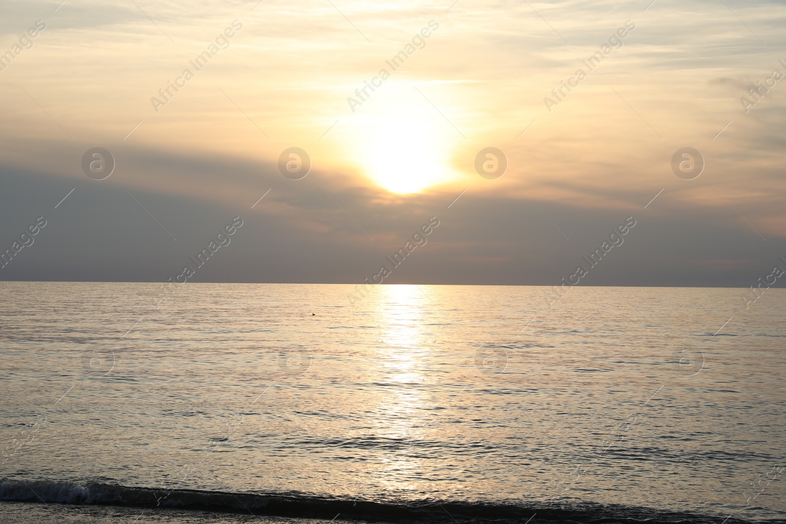 Photo of Picturesque view of sea at sunset. Tropical beach