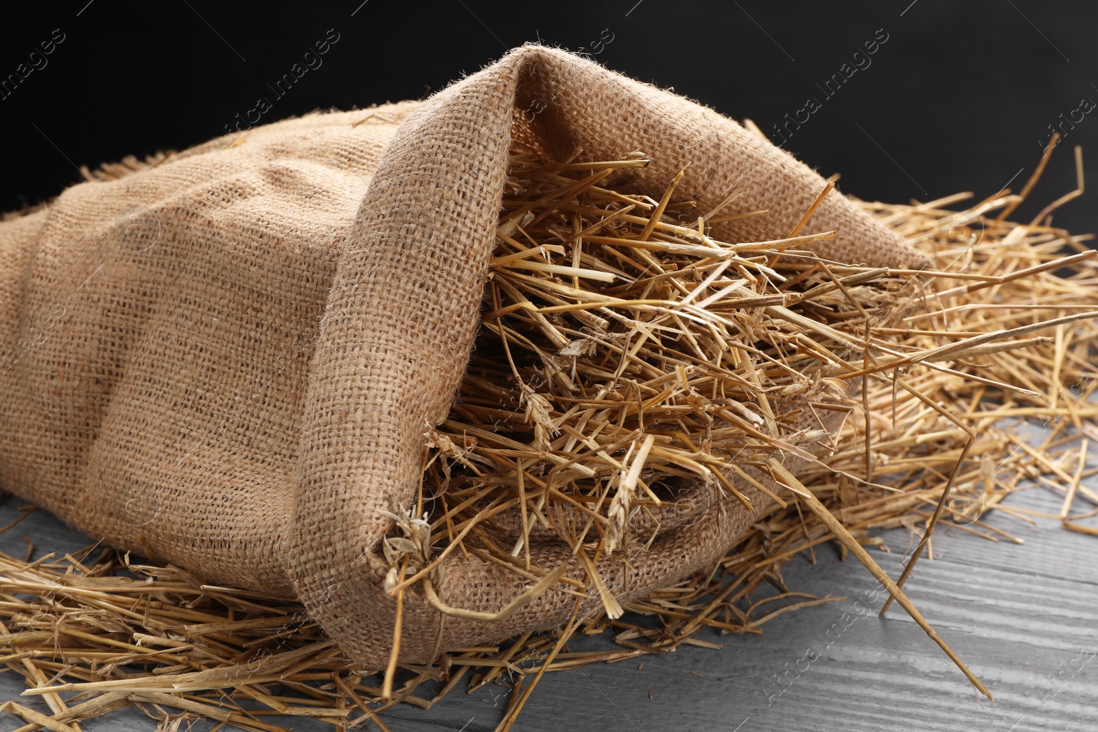 Photo of Dried straw in burlap sack on grey wooden table