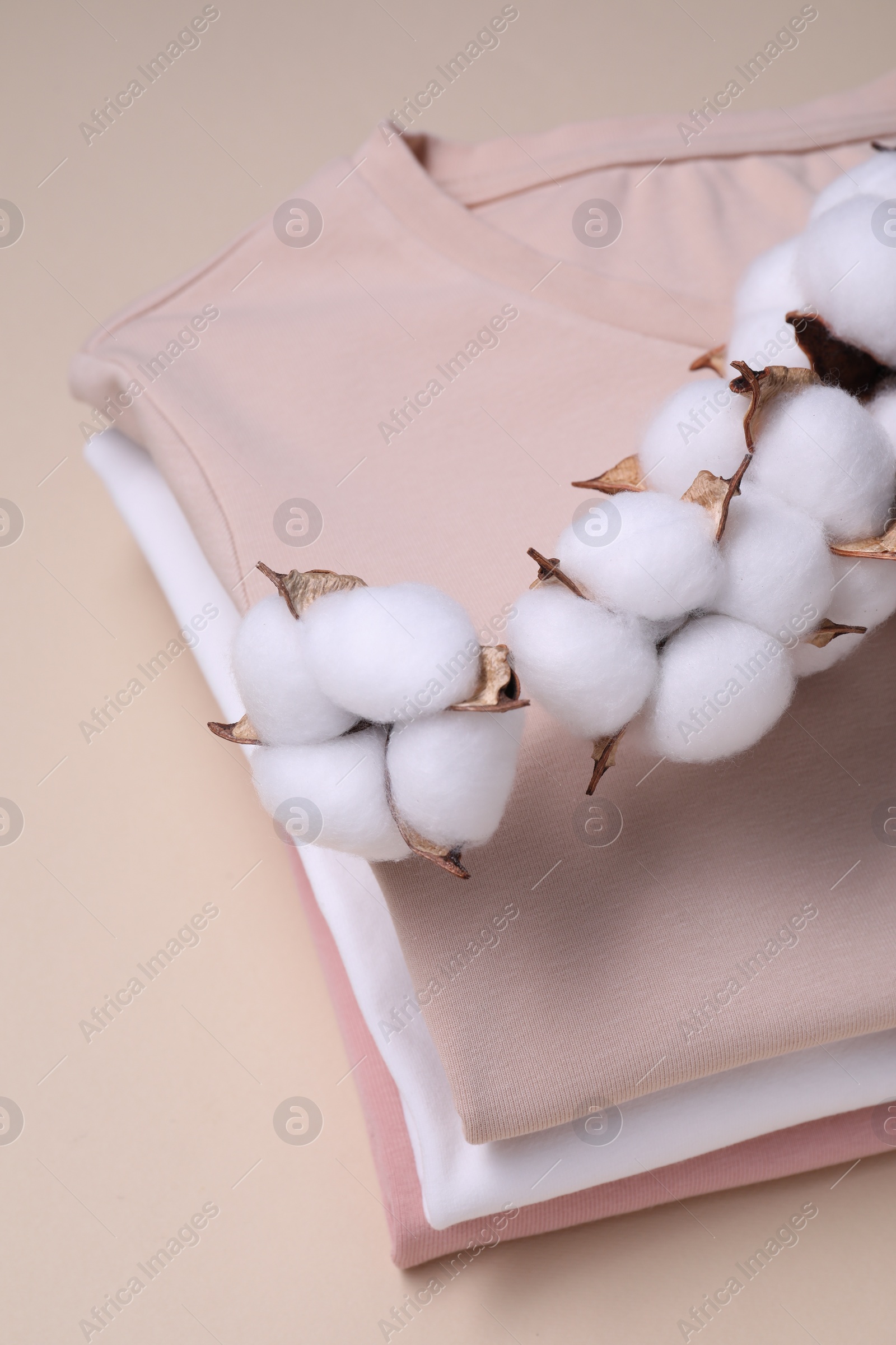 Photo of Cotton branch with fluffy flowers and t-shirts on beige background, above view