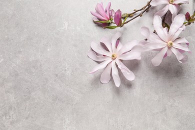 Photo of Magnolia tree branches with beautiful flowers on grey table, flat lay. Space for text