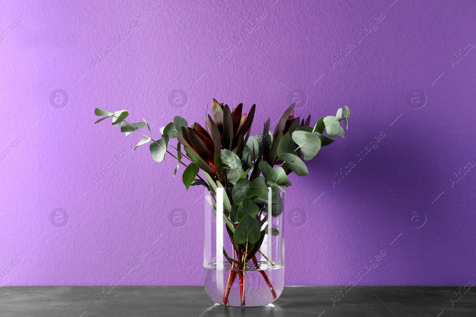 Photo of Beautiful bouquet of protea flowers and eucalyptus branches in glass vase on table against purple background