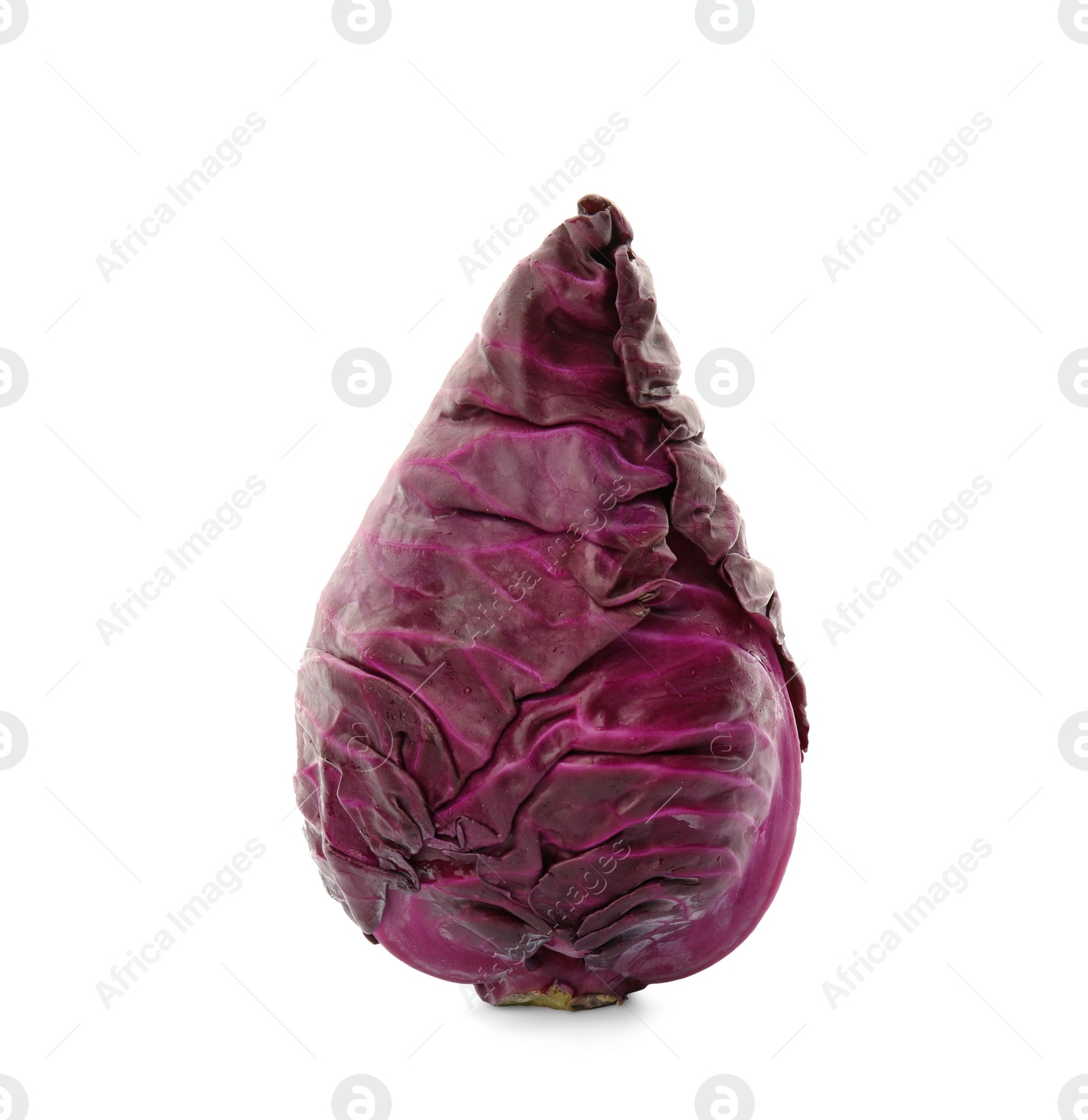 Photo of Pointed red cabbage on white background. Healthy food