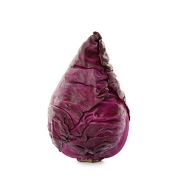 Pointed red cabbage on white background. Healthy food