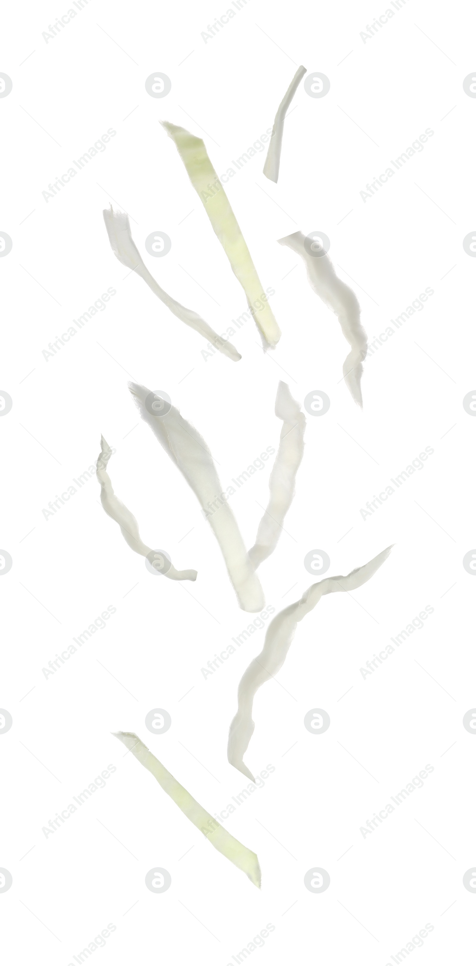 Image of Fresh chopped cabbage falling on white background