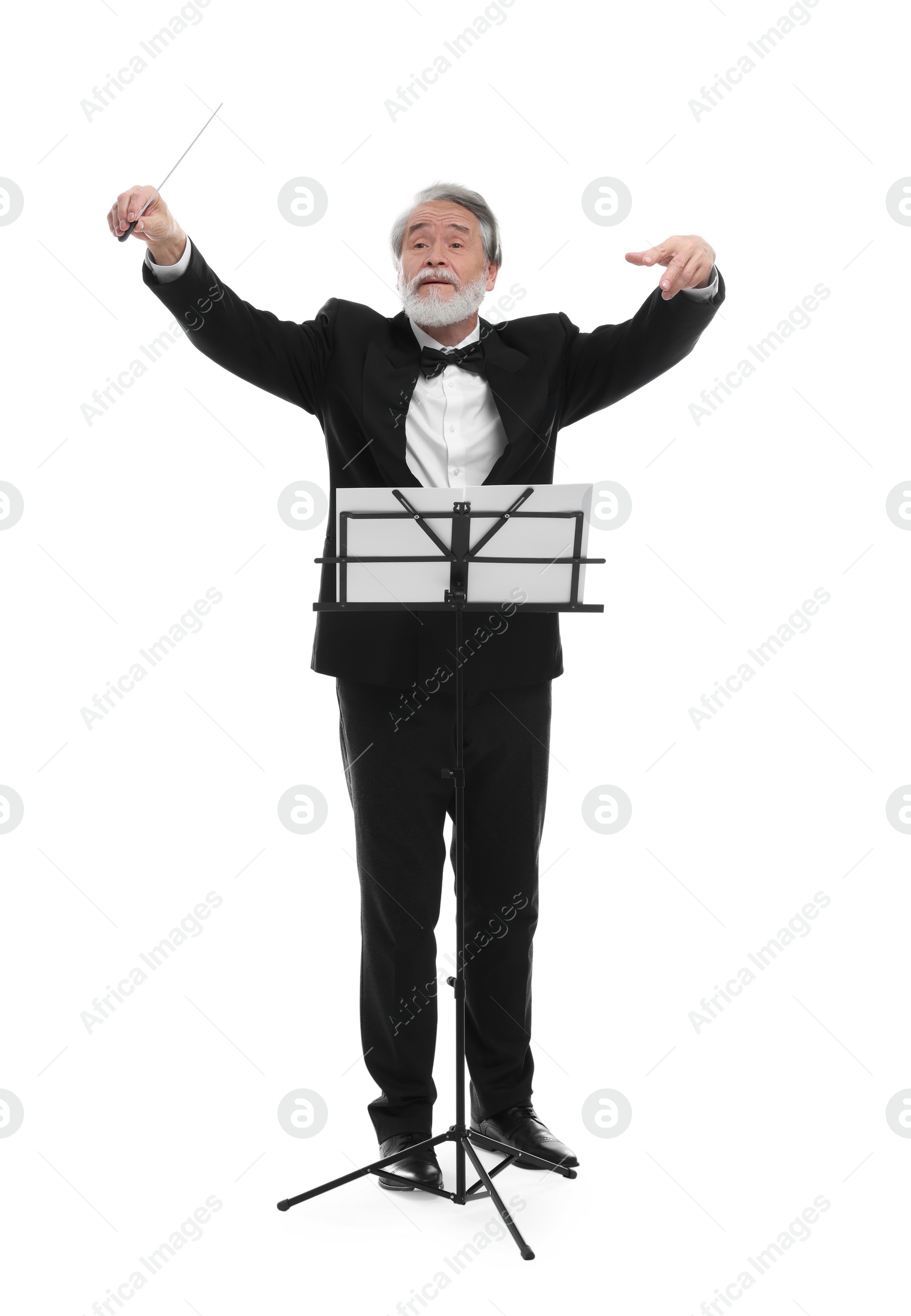 Photo of Professional conductor with baton and note stand on white background