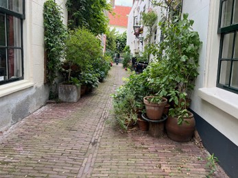 LEIDEN, NETHERLANDS - JULY 22, 2022: Beautiful view of city street with buildings and plants on sunny day