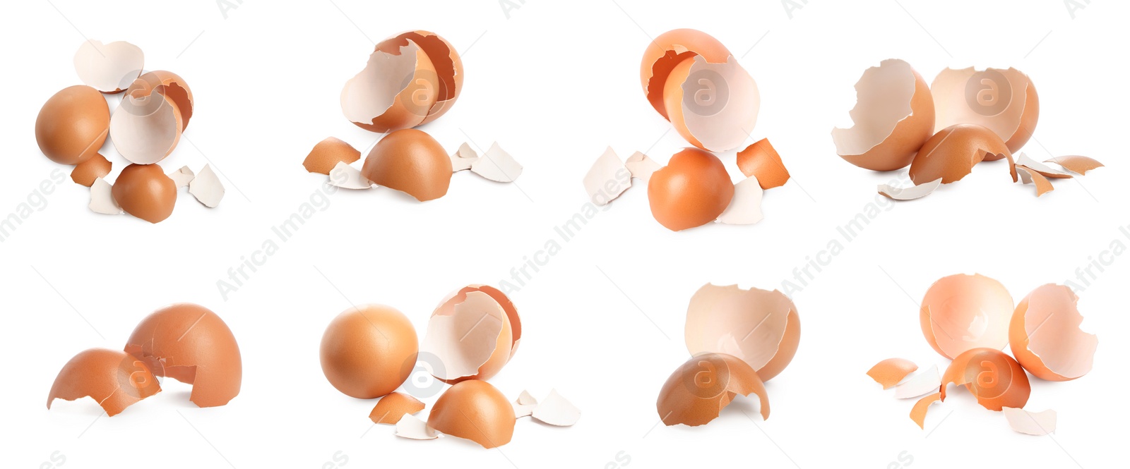 Image of Eggs and cracked shells on white background, set