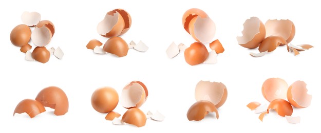 Image of Eggs and cracked shells on white background, set