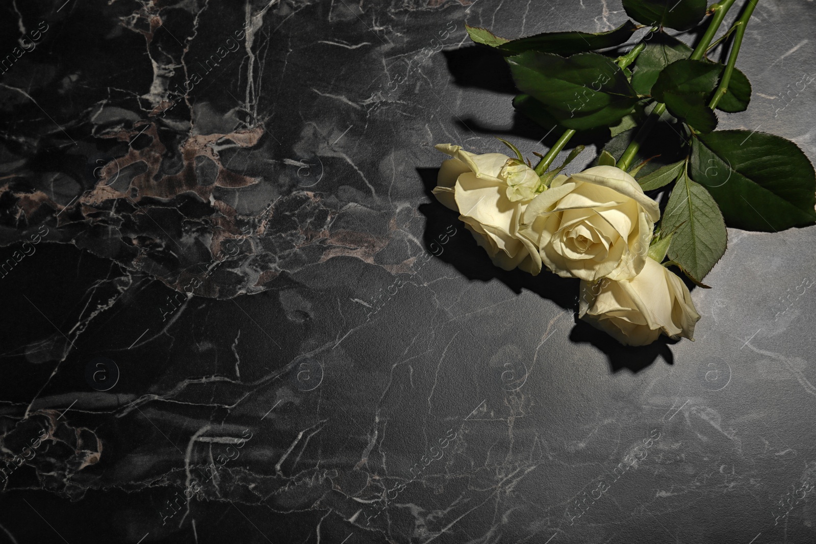 Photo of Beautiful white roses on grey background, top view. Funeral symbol