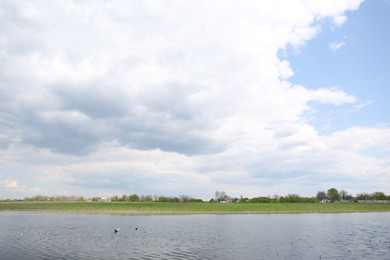 Photo of Ducks swimming in lake near village under sky with clouds