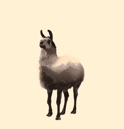 Double exposure of fluffy llama and mountains