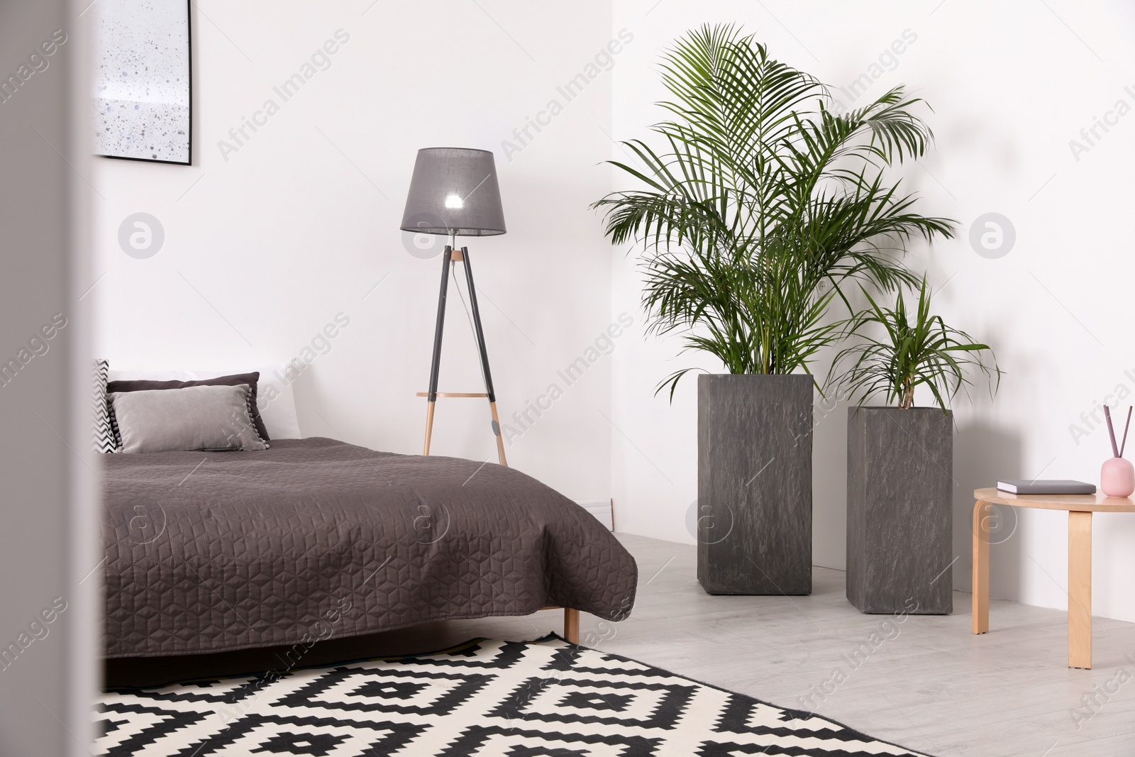 Photo of Beautiful interior of bedroom with potted plants