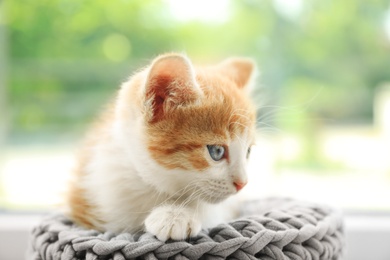 Photo of Cute little red kitten on knitted blue poof near window, closeup view