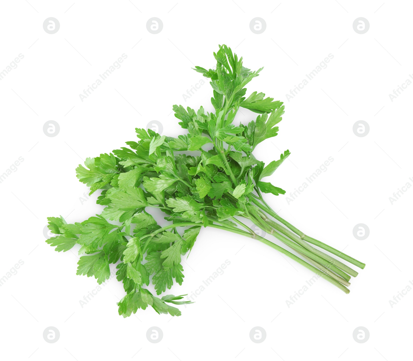 Bunch of fresh green parsley leaves isolated on white, top view Photo of Bunch of fresh green parsley leaves isolated on white, top view