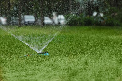 Automatic sprinkler watering green grass in park. Irrigation system