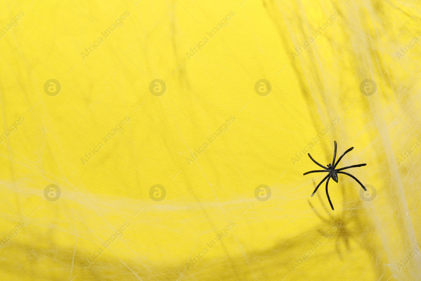 Photo of Cobweb and spider on yellow background, space for text