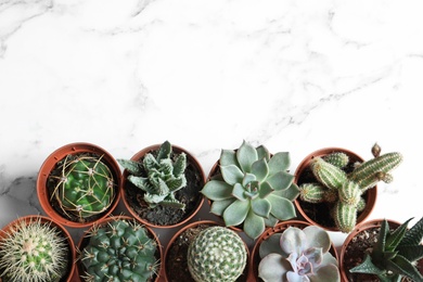 Photo of Flat lay composition with different succulent plants in pots on marble table, space for text. Home decor