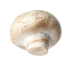 Fresh champignon mushroom isolated on white. Healthy food