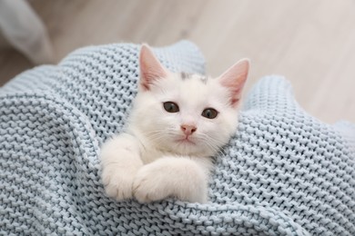 Photo of Cute white kitten on knitted plaid at home, top view