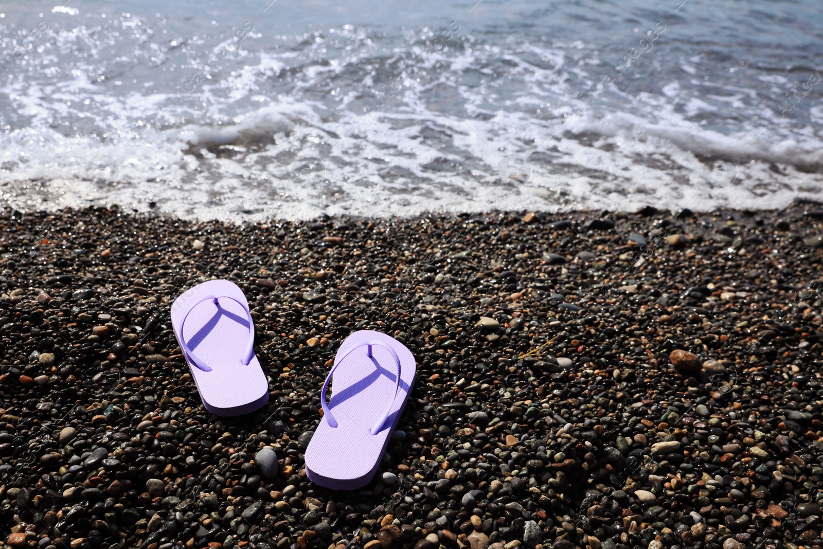 Photo of Stylish lilac flip lops on pebble beach near sea. Space for text