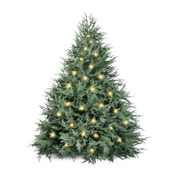 Image of Christmas tree decorated and festive lights isolated on white