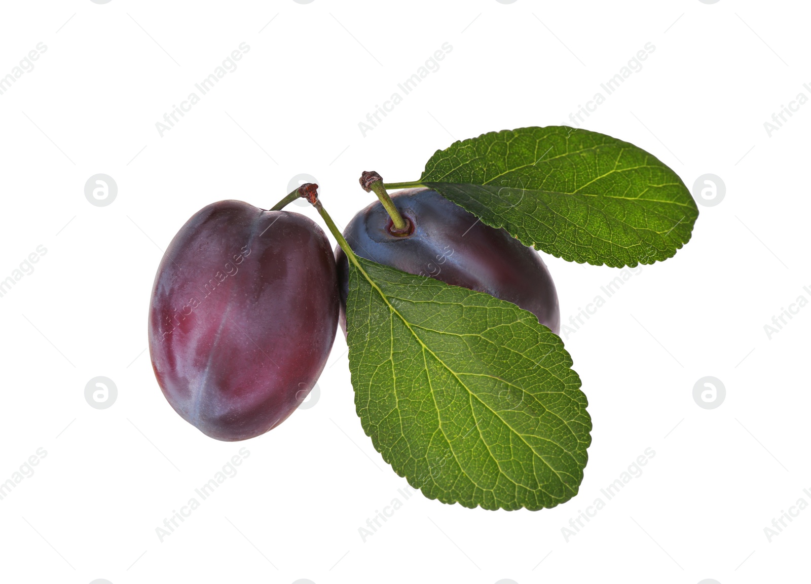 Photo of Delicious ripe plums with leaves isolated on white