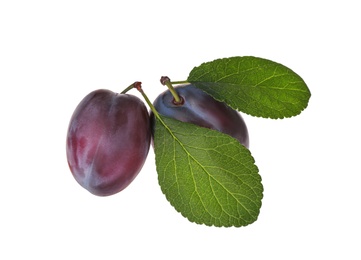 Delicious ripe plums with leaves isolated on white