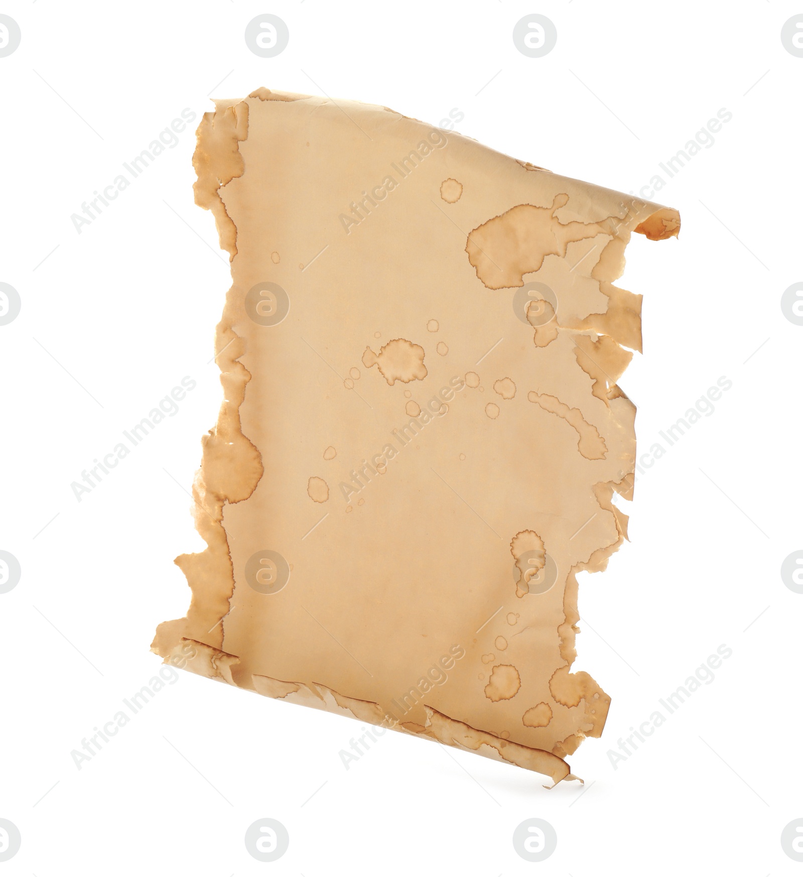 Photo of Sheet of old parchment paper isolated on white. Space for design