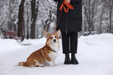 Photo of Woman with adorable Pembroke Welsh Corgi dog in snowy park, closeup