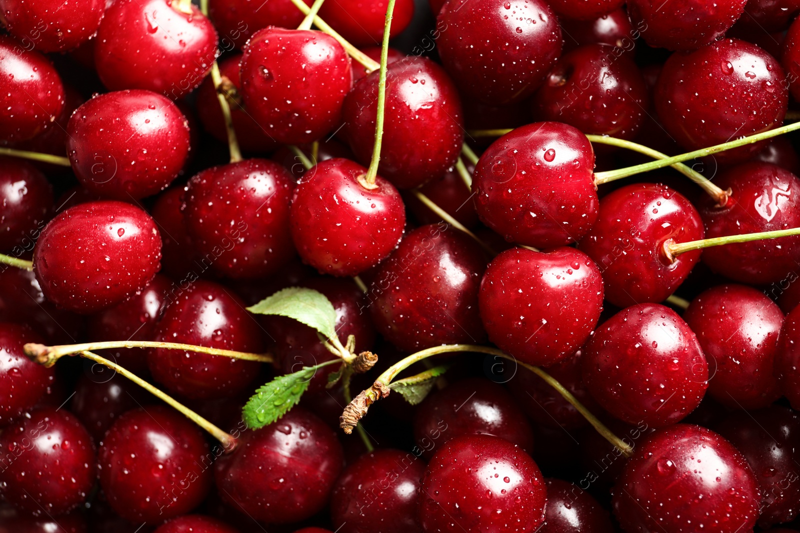 Photo of Delicious ripe sweet cherries with water drops as background, closeup view