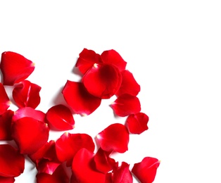 Red rose petals on white background, top view