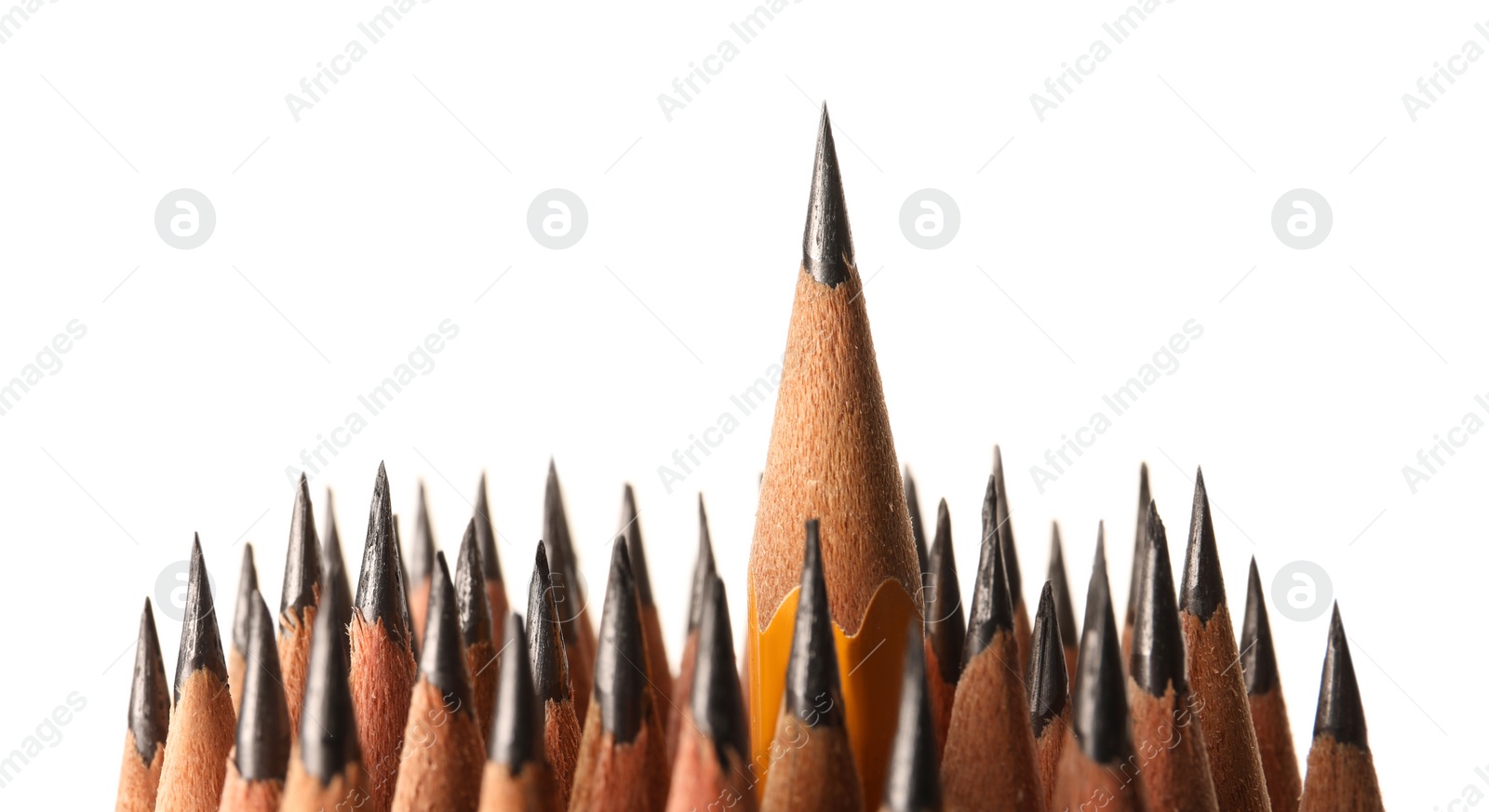 Photo of Many sharp graphite pencils isolated on white