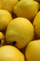 Delicious ripe quinces with water drops as background, closeup