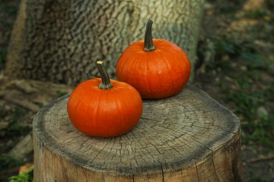 Photo of Two orange pumpkins on stump in garden