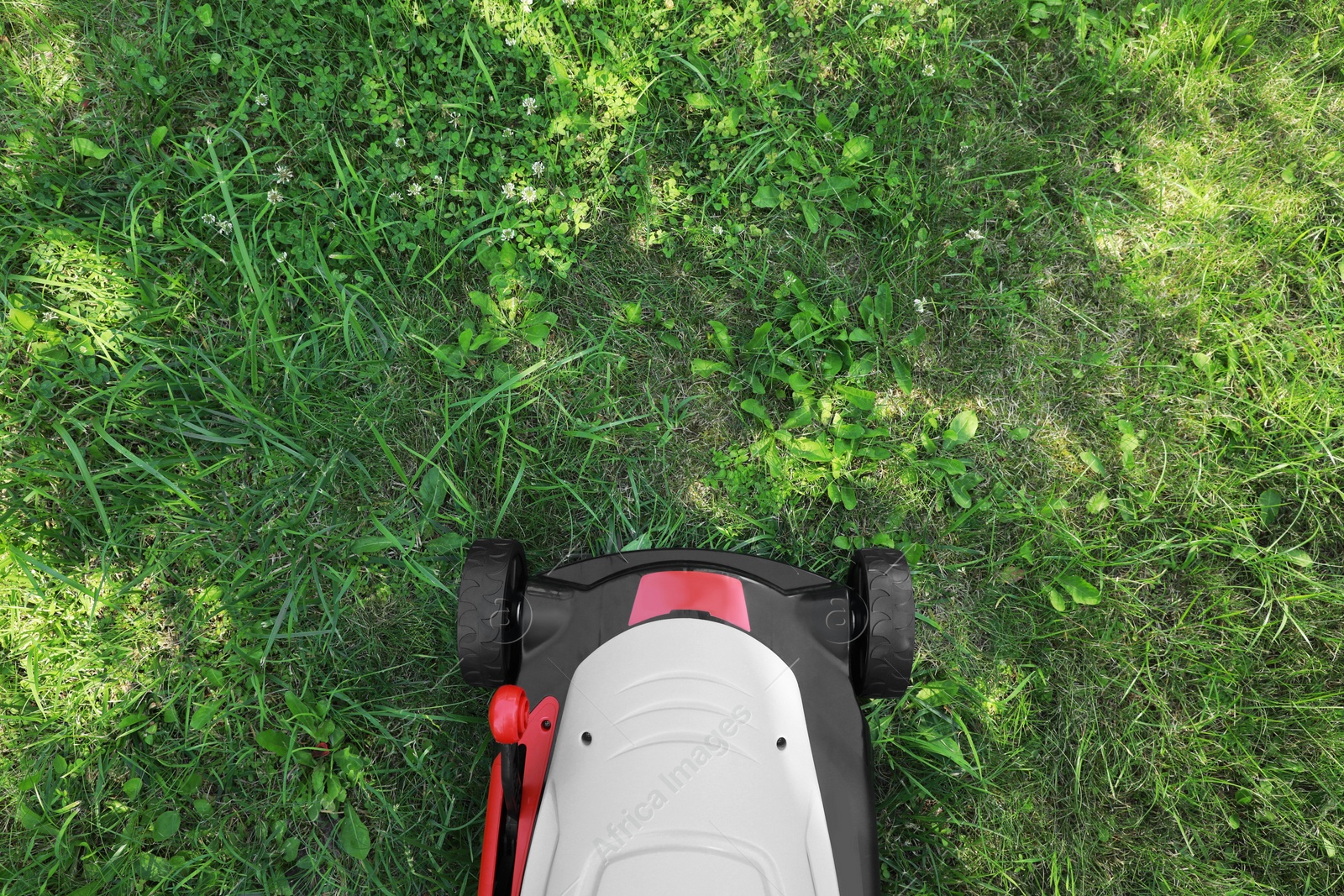 Photo of Cutting green grass with lawn mower in garden, top view. Space for text