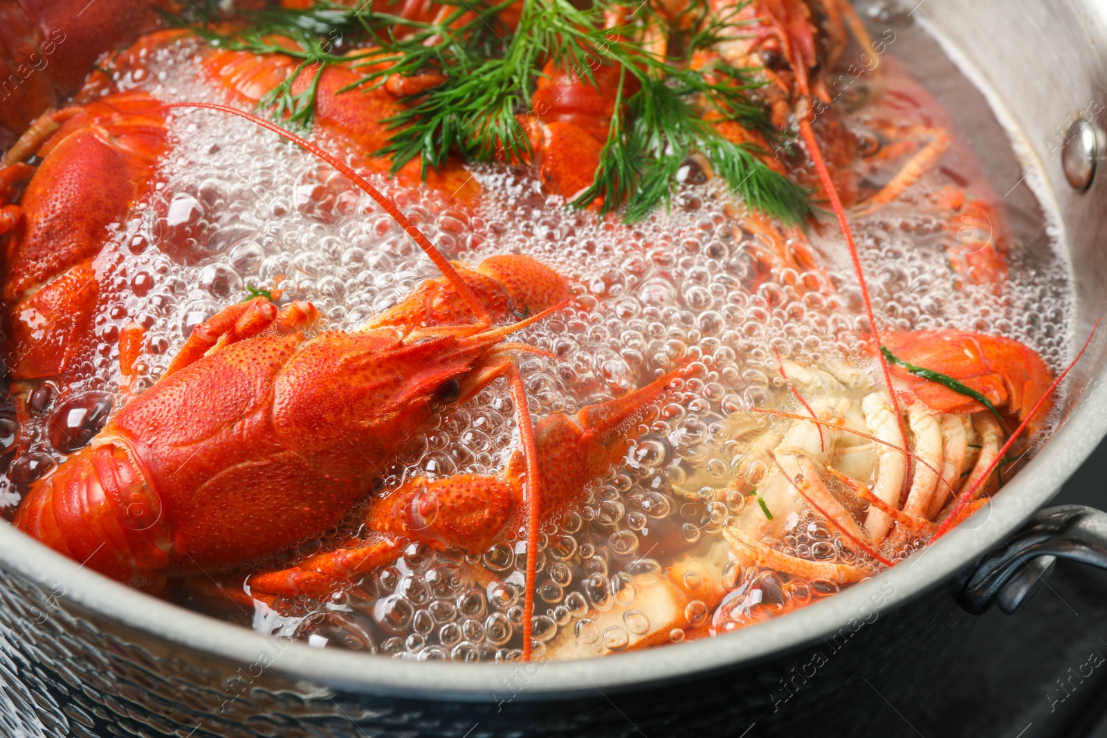 Photo of Fresh delicious crayfishes in boiling water, closeup