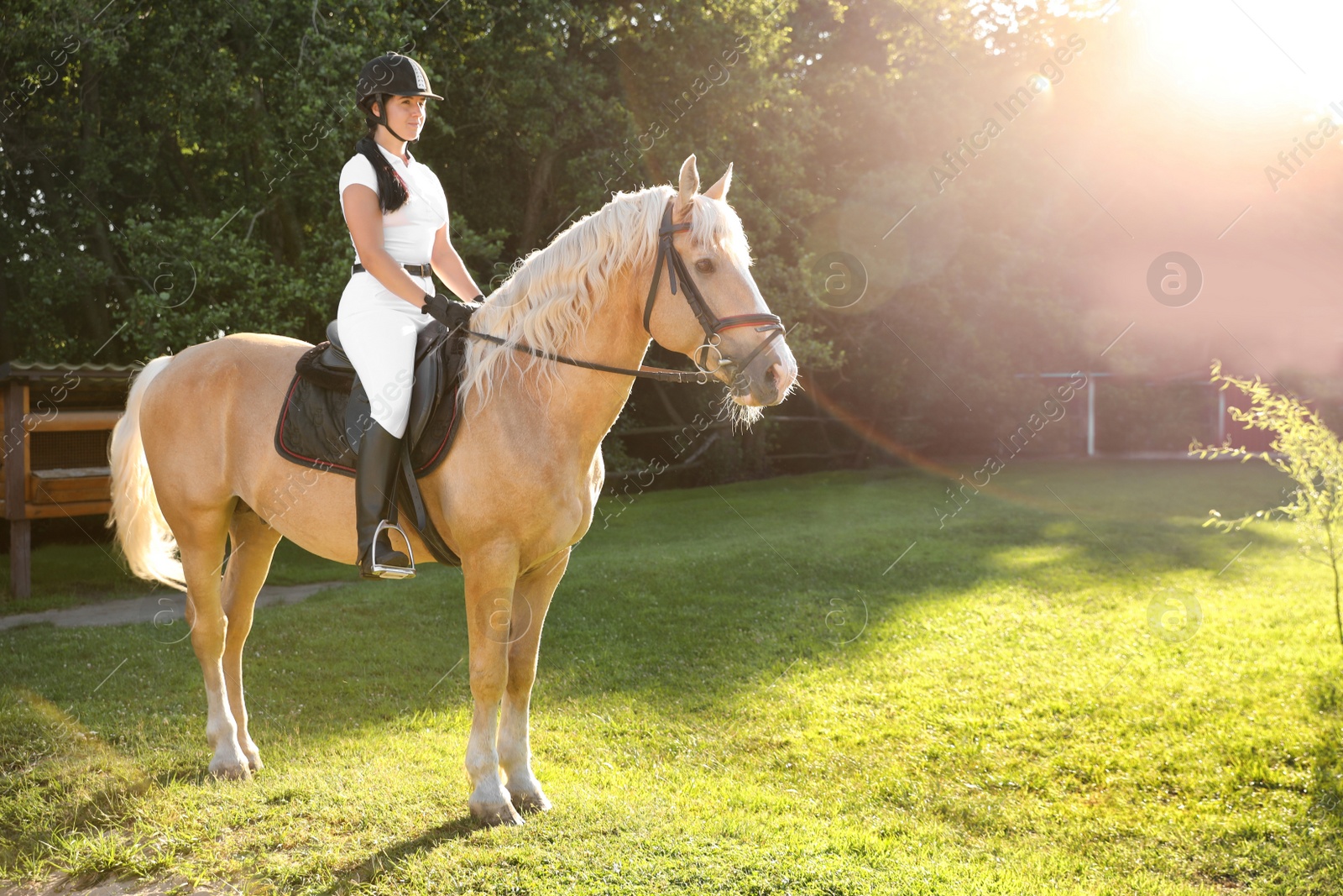 Photo of Young woman in equestrian suit riding horse outdoors on sunny day. Beautiful pet