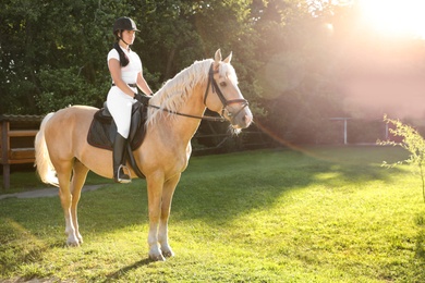 Young woman in equestrian suit riding horse outdoors on sunny day. Beautiful pet