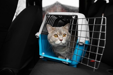Photo of Travel with pet. Cute cat in carrier inside car