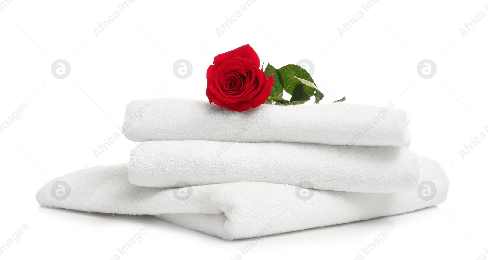 Photo of Stack of clean folded towels with flower on white background